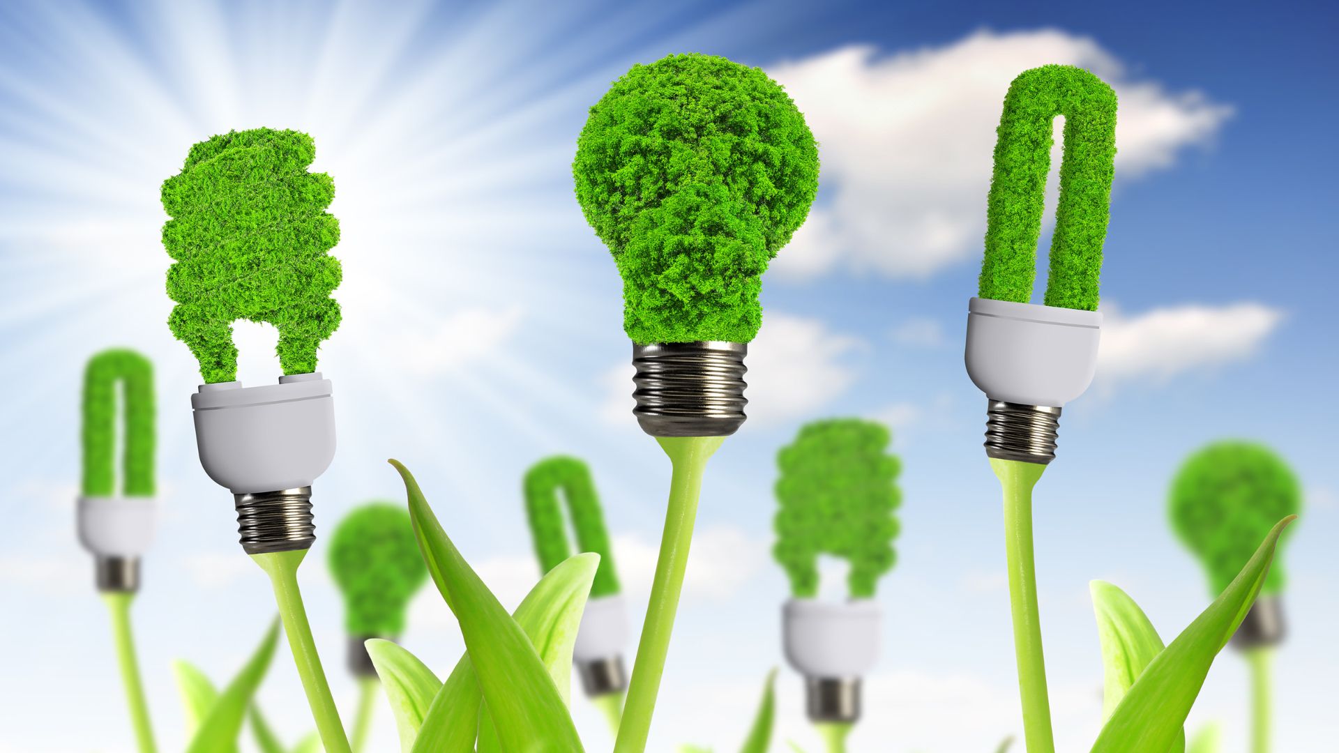 הפיכת פסולת לאנרגיה – 3 שימושים עיקריים